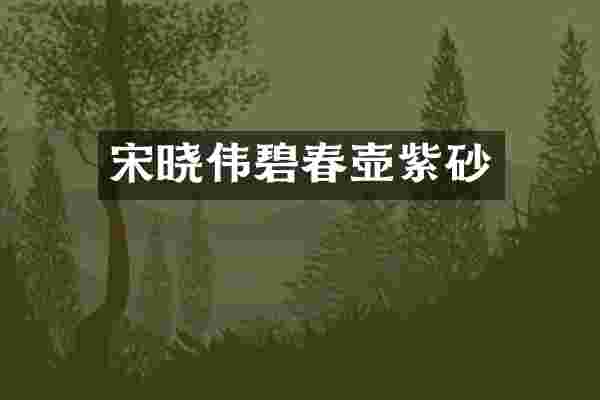 宋晓伟碧春壶紫砂