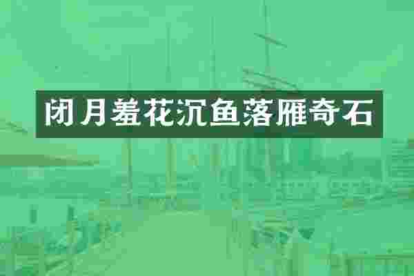 闭月羞花沉鱼落雁奇石