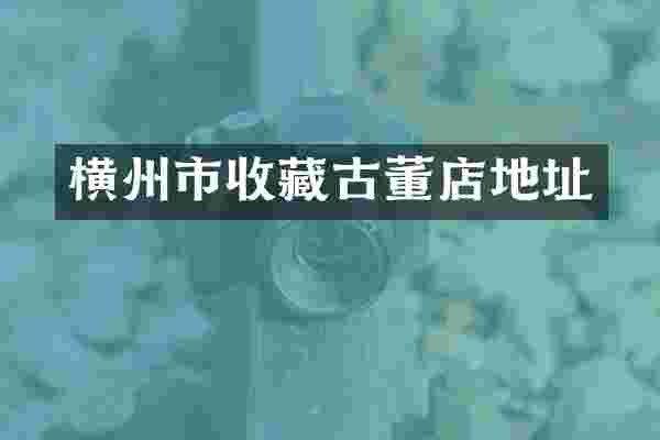 横州市收藏古董店地址