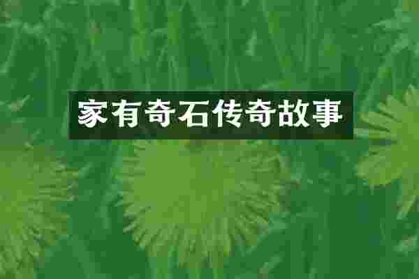 家有奇石传奇故事