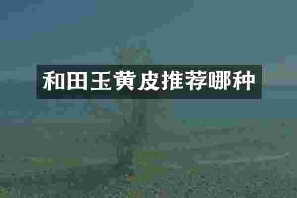 和田玉黄皮推荐哪种