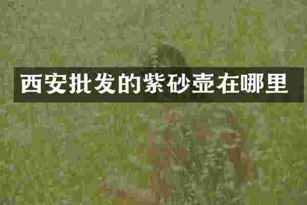 西安批发的紫砂壶在哪里
