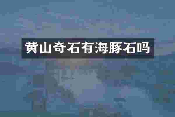 黄山奇石有海豚石吗