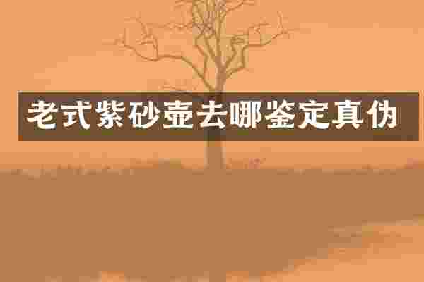 老式紫砂壶去哪鉴定真伪