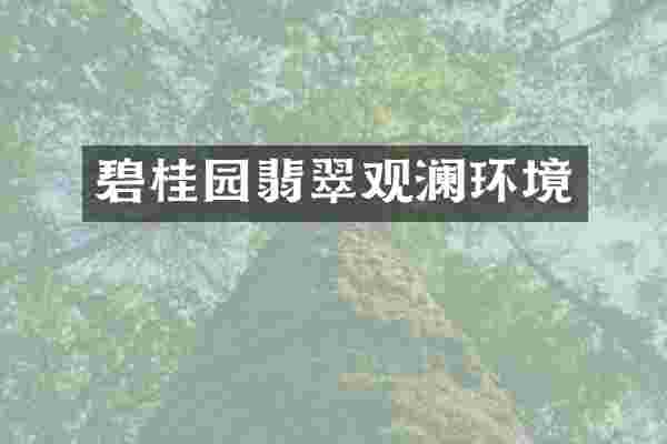 碧桂园翡翠观澜环境