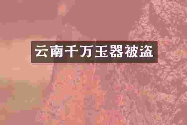云南千万玉器被盗