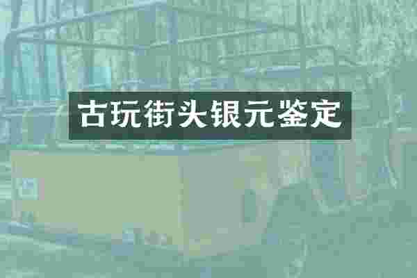 古玩街头银元鉴定