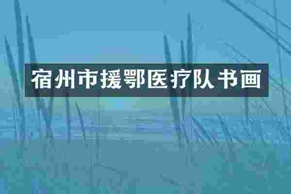 宿州市援鄂医疗队书画