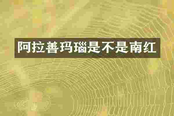 阿拉善玛瑙是不是南红