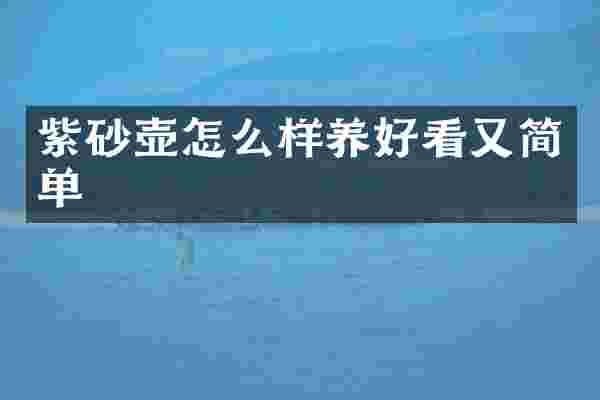 紫砂壶怎么样养好看又简单