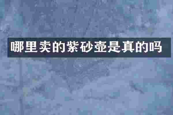 哪里卖的紫砂壶是真的吗