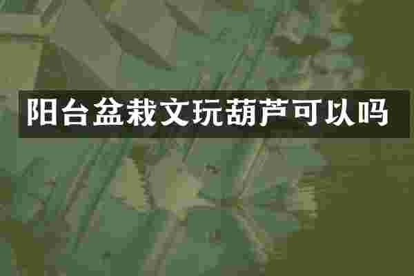 阳台盆栽文玩葫芦可以吗