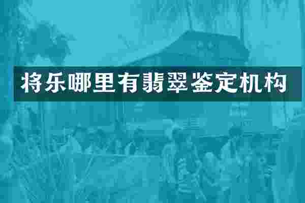 将乐哪里有翡翠鉴定机构
