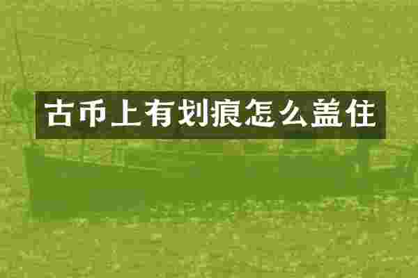 古币上有划痕怎么盖住