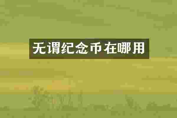 无谓纪念币在哪用