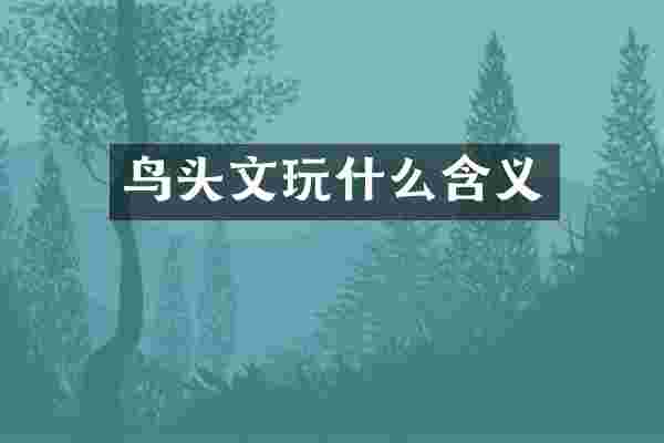 鸟头文玩什么含义