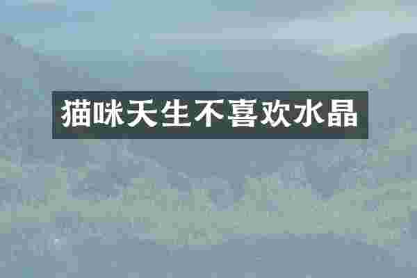 猫咪天生不喜欢水晶
