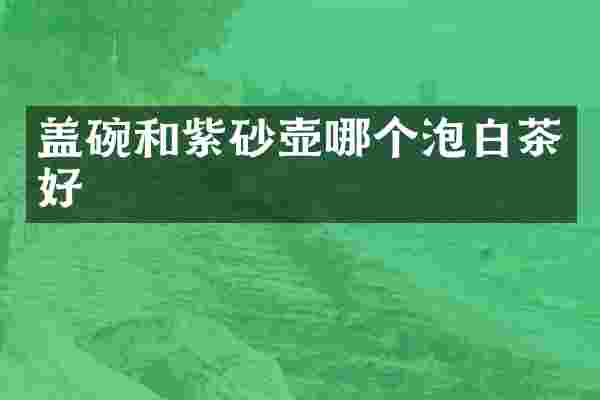 盖碗和紫砂壶哪个泡白茶好