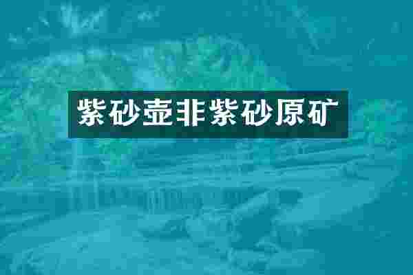 紫砂壶非紫砂原矿