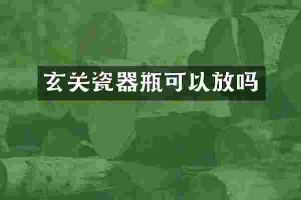 玄关瓷器瓶可以放吗