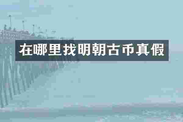 在哪里找明朝古币真假