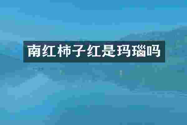 南红柿子红是玛瑙吗