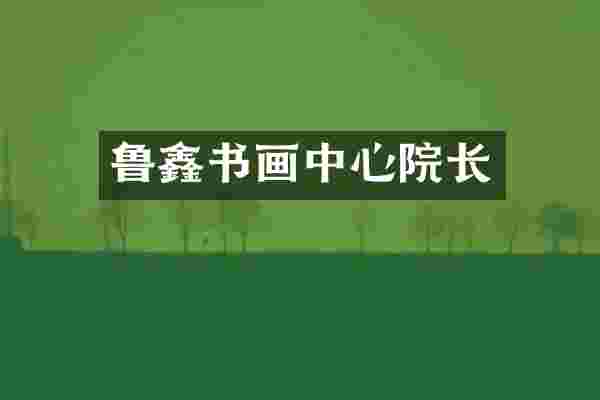 鲁鑫书画中心院长