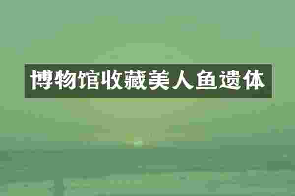博物馆收藏美人鱼遗体