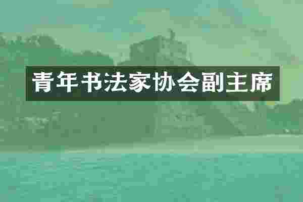 青年书法家协会副主席