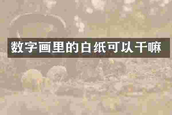 数字画里的白纸可以干嘛