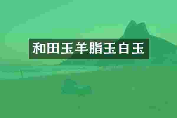 和田玉羊脂玉白玉