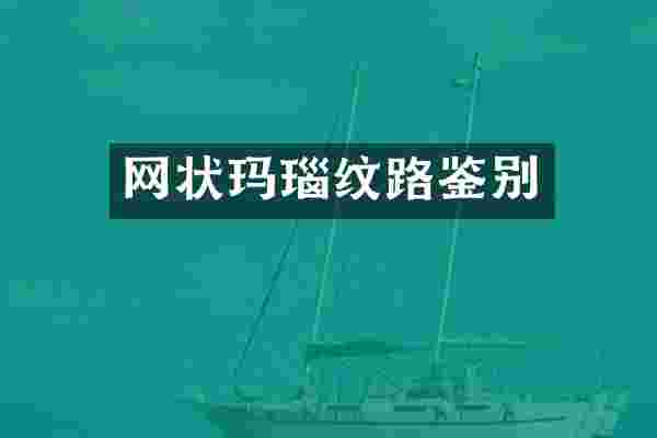 网状玛瑙纹路鉴别