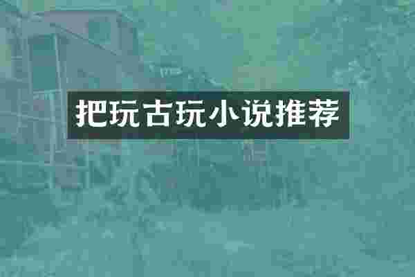 把玩古玩小说推荐