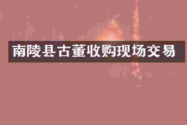 南陵县古董收购现场交易