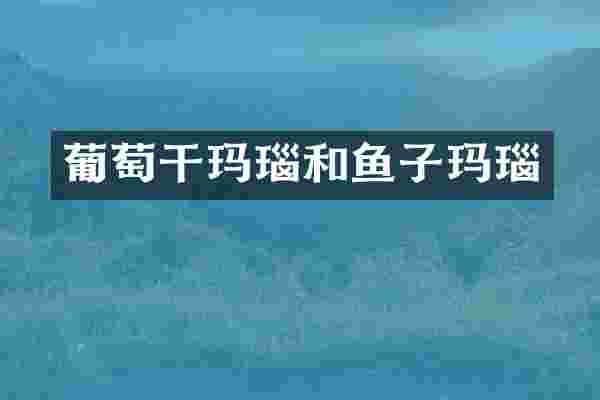 葡萄干玛瑙和鱼子玛瑙