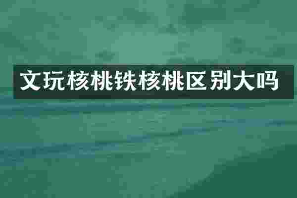 文玩核桃铁核桃区别大吗