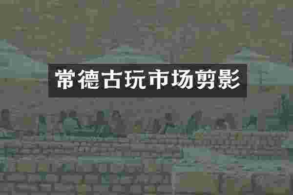 常德古玩市场剪影