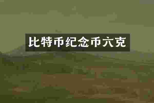 比特币纪念币六克