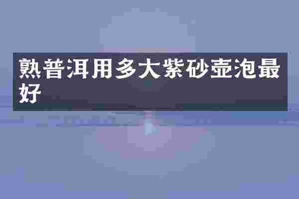 熟普洱用多大紫砂壶泡最好