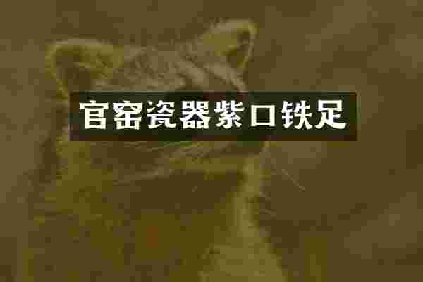 官窑瓷器紫口铁足