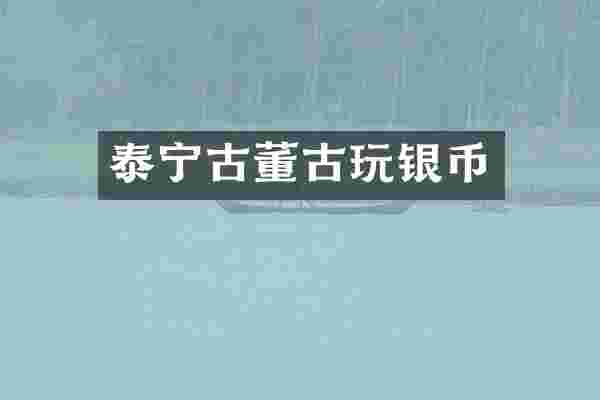 泰宁古董古玩银币