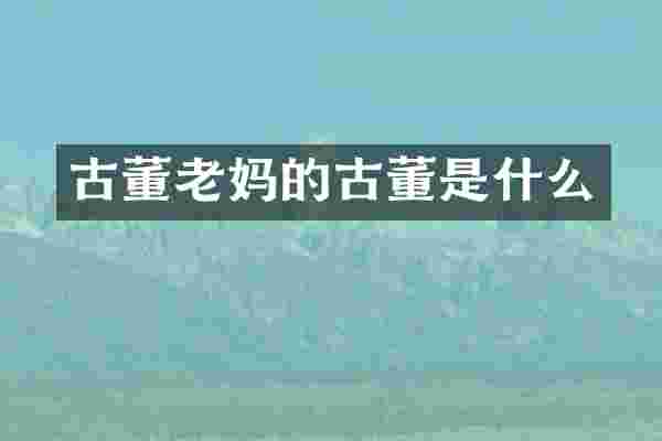 古董老古董是什么