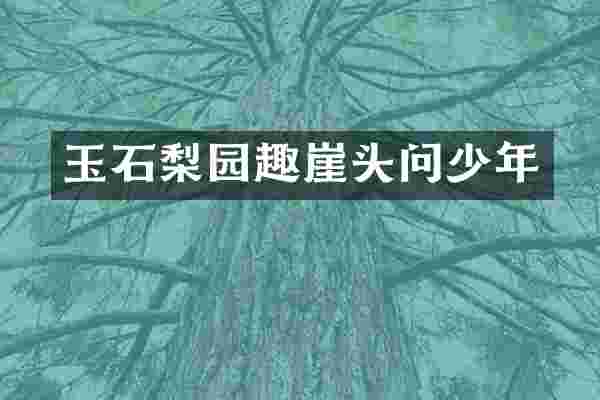 玉石梨园趣崖头问少年