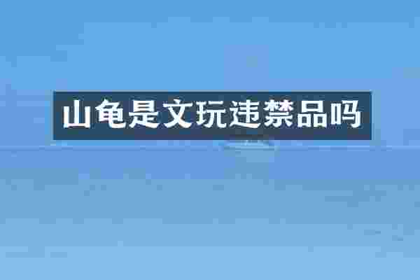 山龟是文玩违禁品吗
