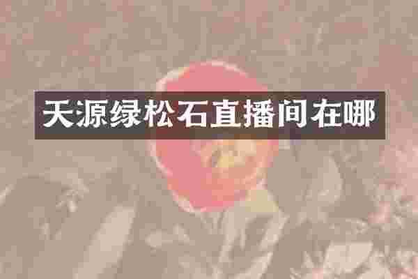 天源绿松石直播间在哪