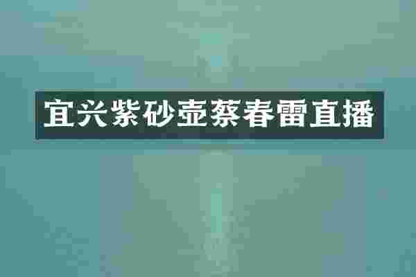 宜兴紫砂壶蔡春雷直播