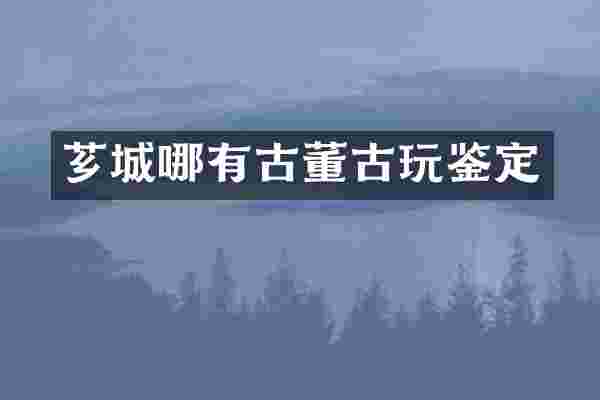 芗城哪有古董古玩鉴定