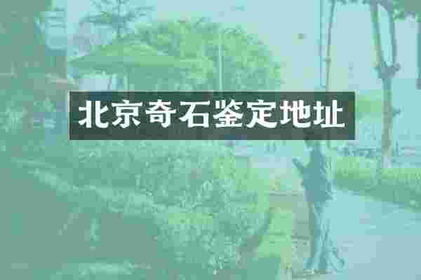北京奇石鉴定地址