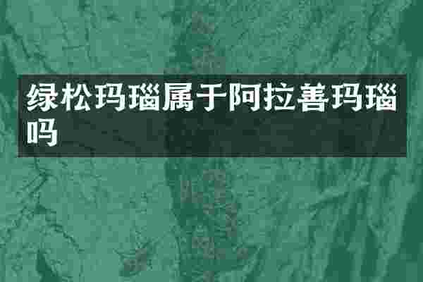 绿松玛瑙属于阿拉善玛瑙吗