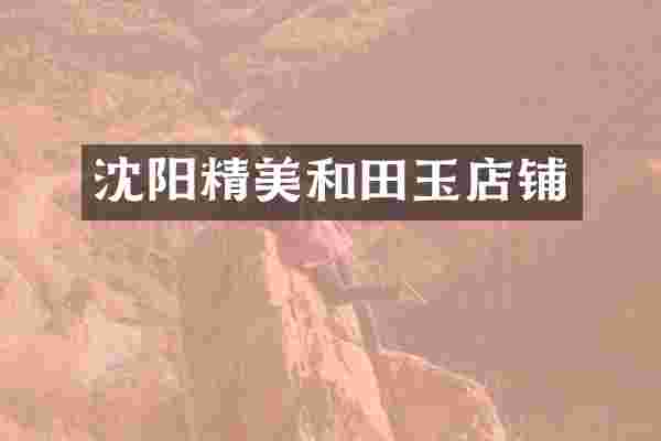 沈阳精美和田玉店铺